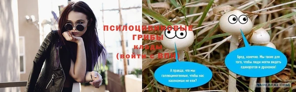 круглые Новозыбков