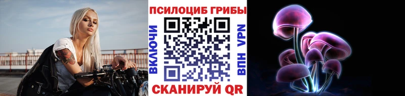 Галлюциногенные грибы Psilocybe  Осташков 