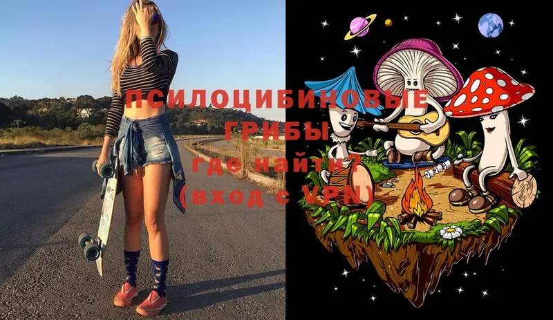 Галлюциногенные грибы Psilocybe  Осташков 